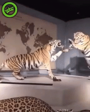 Animals Posing In 3d Museum GIF