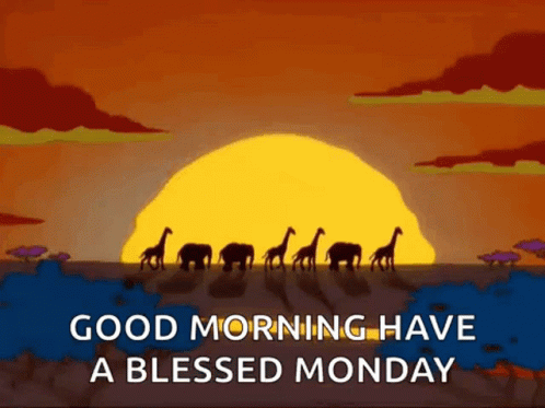Animals Walking In Africa Have A Blessed Monday GIF