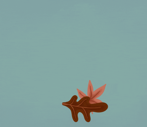 Animated 2 Fall Leaf Floating Around GIF