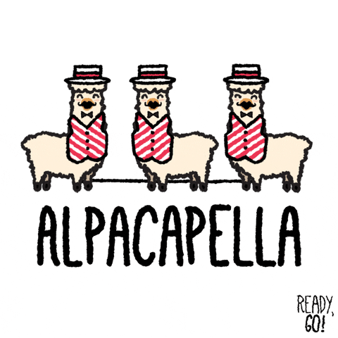 Animated Alpaca Acapella GIF