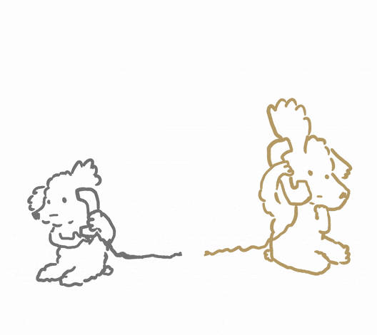 Animated Animals Delay Reception GIF