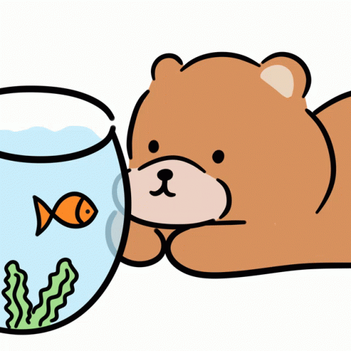 Animated Bear Watching Goldfish In A Bowl GIF