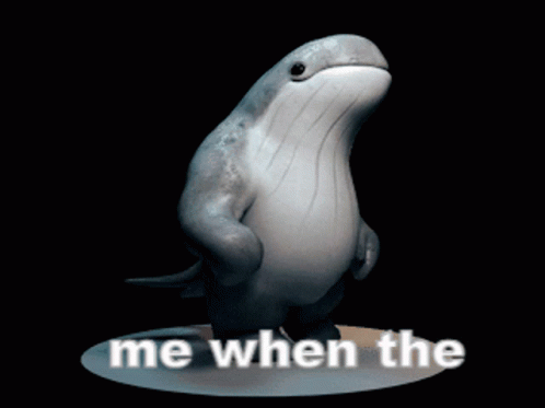 Animated Beluga Walking GIF