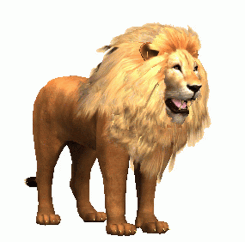 Animated Big Lions Roaring GIF