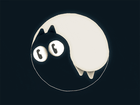 Animated Black And White Cat Spinning GIF