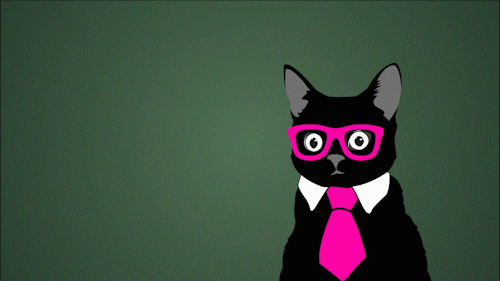 Animated Black Cat Calculating GIF