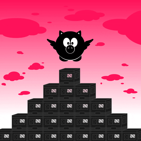 Animated Black Pig Flies Above Blocks GIF