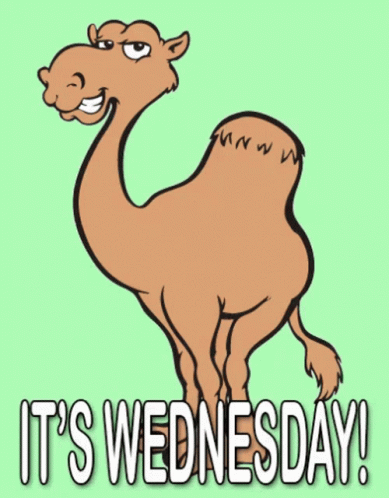 Animated Blessed Wednesday Camel GIF