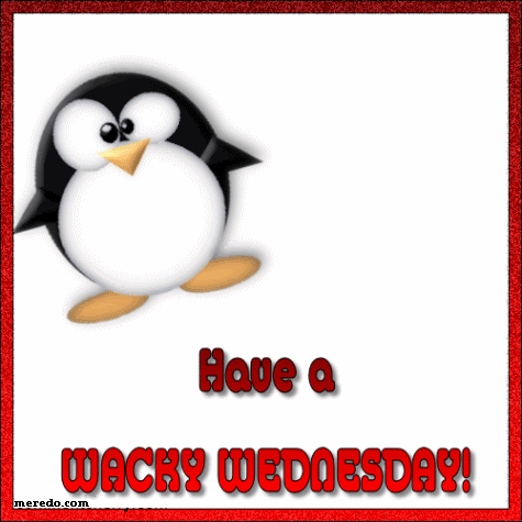 Animated Blessed Wednesday Cute Penguin GIF