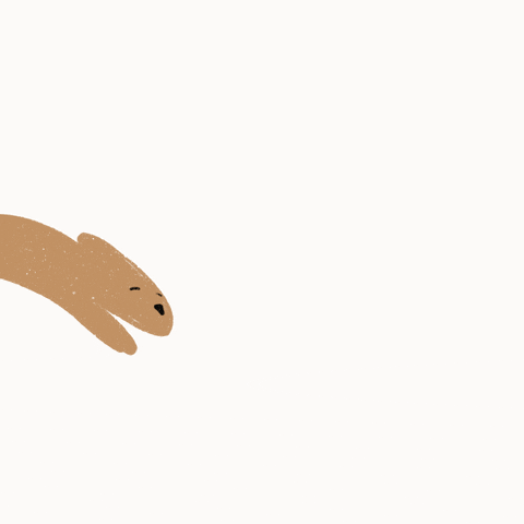 Animated Brown Bunny Hopping GIF