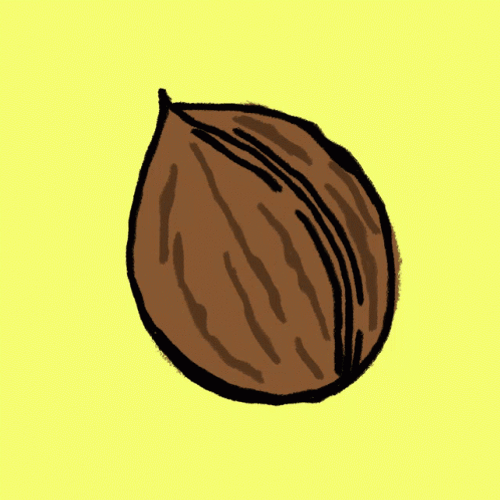 Animated Brown Nut GIF