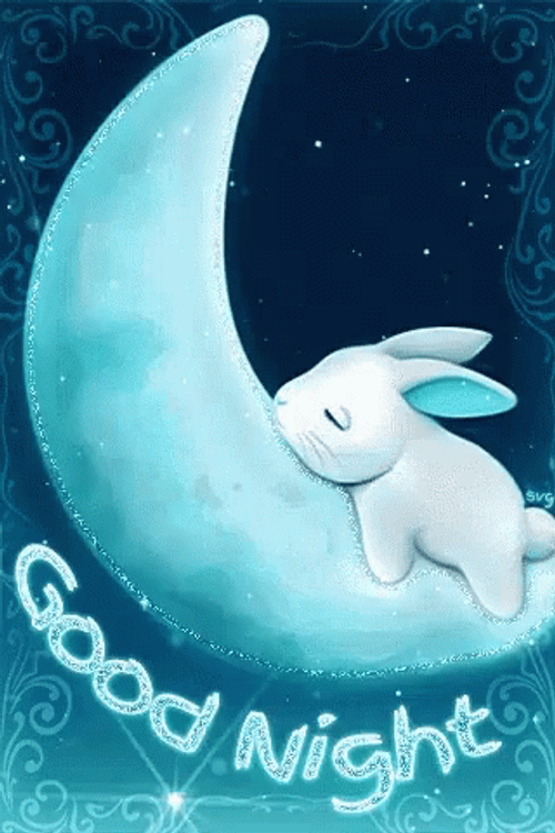 Animated Bunny Good Night Sleep On Moon GIF 