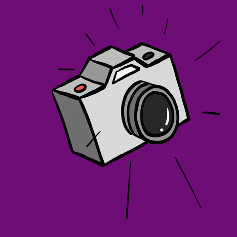 Animated Camera Snapping Picture GIF