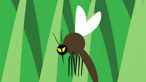 Animated Cartoon Mosquito GIF
