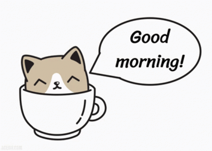 Animated Cat Cup Good Morning GIF