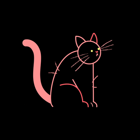 Animated Cat Curious GIF
