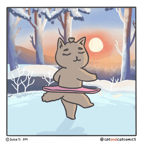 Animated Cat Dancing Ballet Pirouette GIF