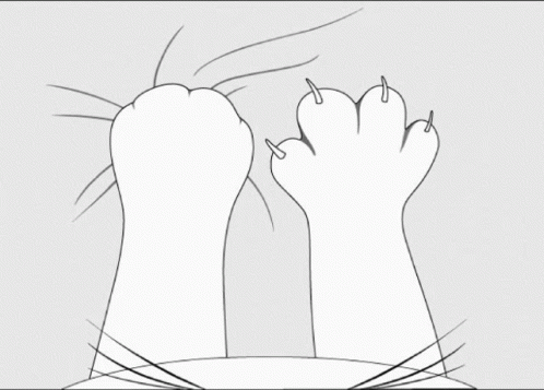Animated Cat Feet Knead GIF