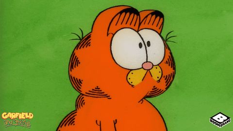 Animated Cat Garfield Confused GIF