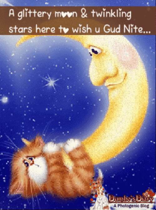 Animated Cat Good Night Hug On Moon GIF