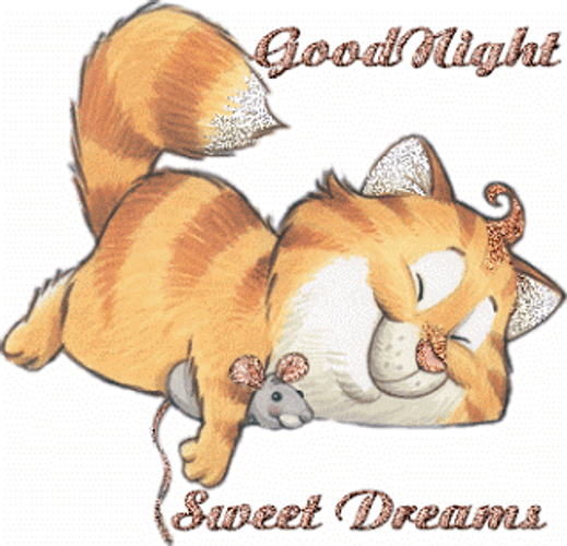 Animated Cat Good Night Sweet Dreams GIF