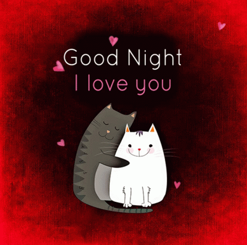Animated Cat Hugging Good Night Love You GIF