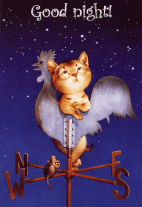 Animated Cat On Wind Vane Having Good Night GIF