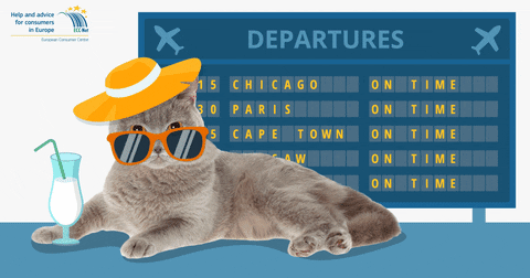 Animated Cat Sad For Delayed Flight In Airport GIF