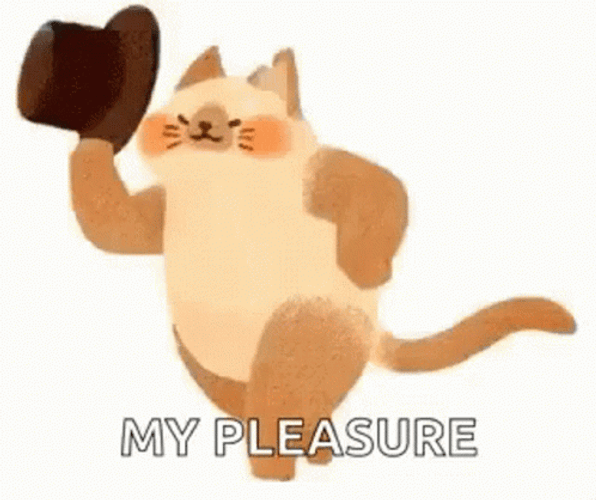 Animated Cat Thank You My Pleasure GIF