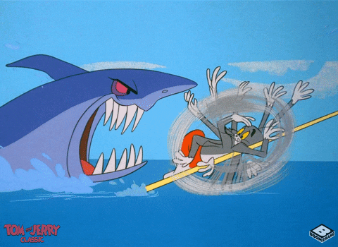 Animated Cat Tom Chased By Shark GIF