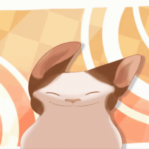 Animated Cat Vibing Dancing  GIF