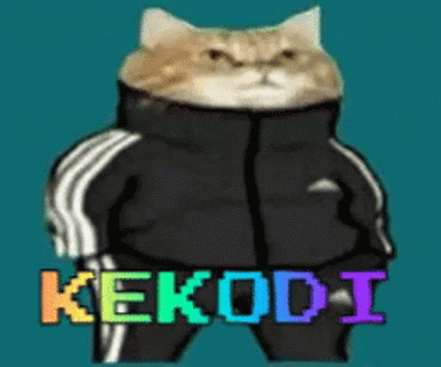 Animated Cat Wearing Black Adidas Suit GIF