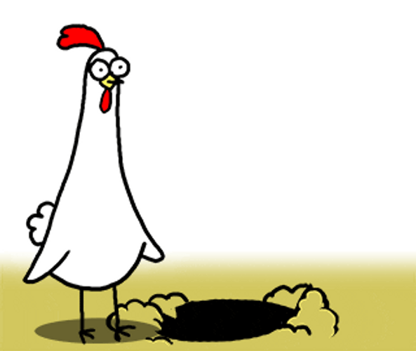 Animated Chicken Hiding GIF