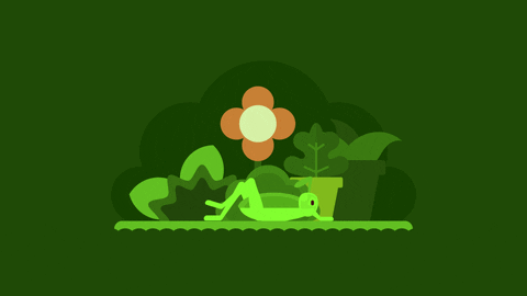 Animated Chilling Crickets GIF