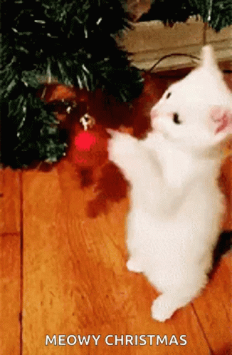 Animated Christmas Cat Playing Christmas Ball GIF