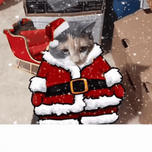 Animated Christmas Cat With Santa Costume GIF