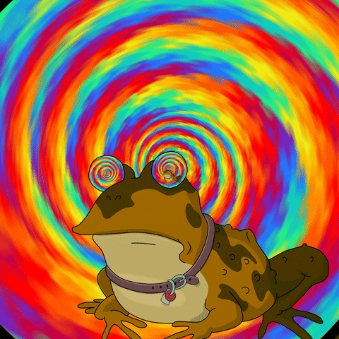 Animated Confused Rainbow Eyes Frog GIF