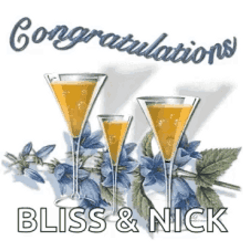 Animated Congratulations Cheers Bliss And Nick GIF