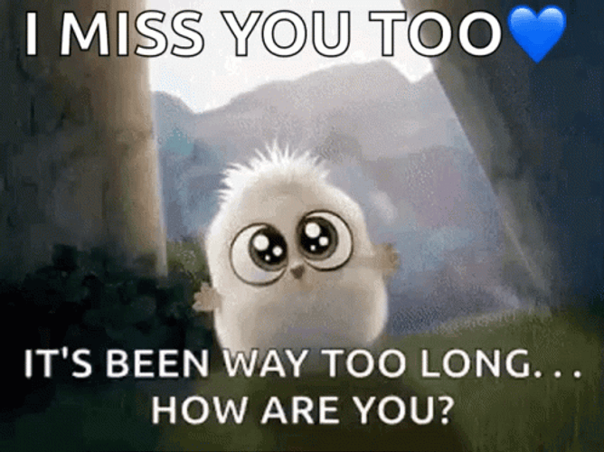 sad baby owl meme