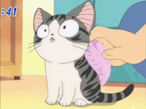 Animated Cute Cat Getting Scrubs GIF