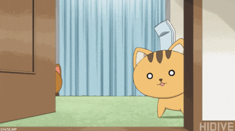 Animated Cute Cat Peek GIF
