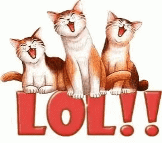 Animated Cute Cats Laughing Out Loud GIF