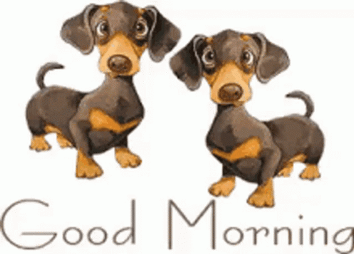 Animated Cute Dachshund Good Morning Puppy GIF