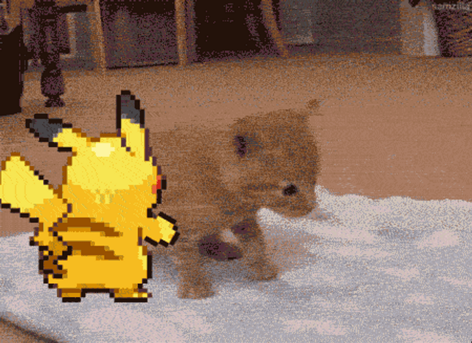 Animated Cute Pikachu Pushing Kitten GIF