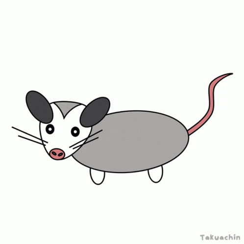 Animated Cute Possum GIF