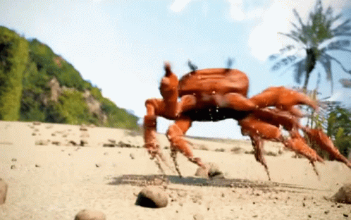 Animated Dancing King Crab By Siri GIF