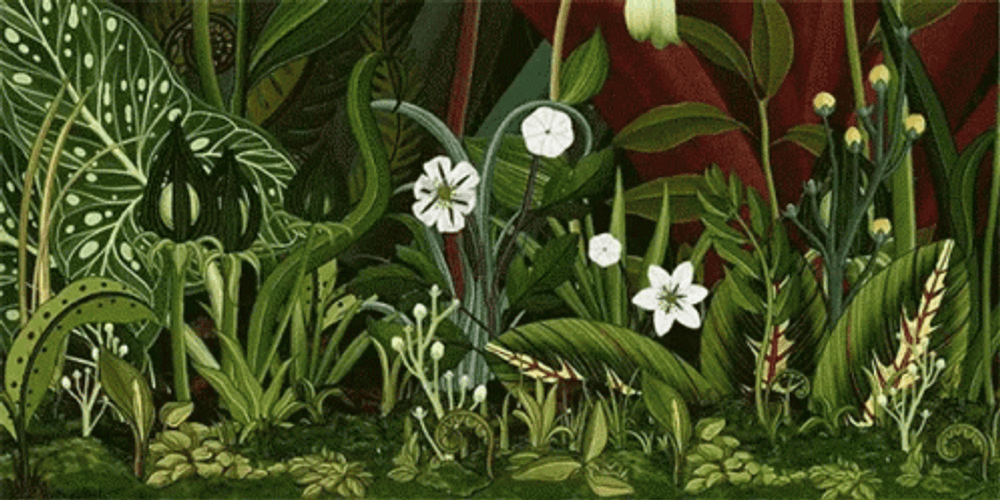 Animated Different Flower Blooming GIF