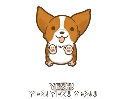 Animated Dog Bouncing Yes Yes GIF