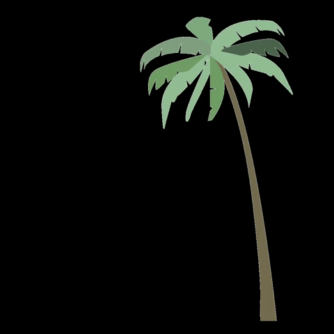 Animated Falling Palm Tree Leaves GIF