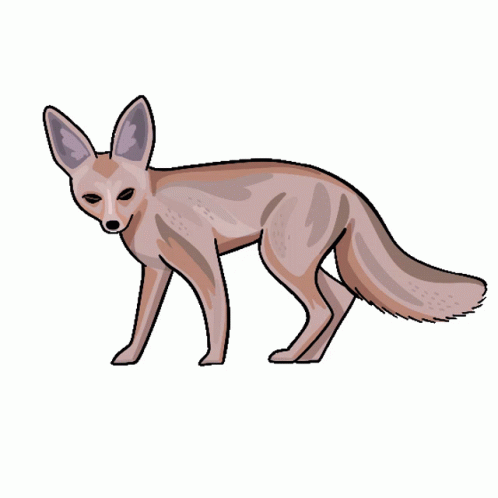 Animated Fennec Fox Digital Art GIF